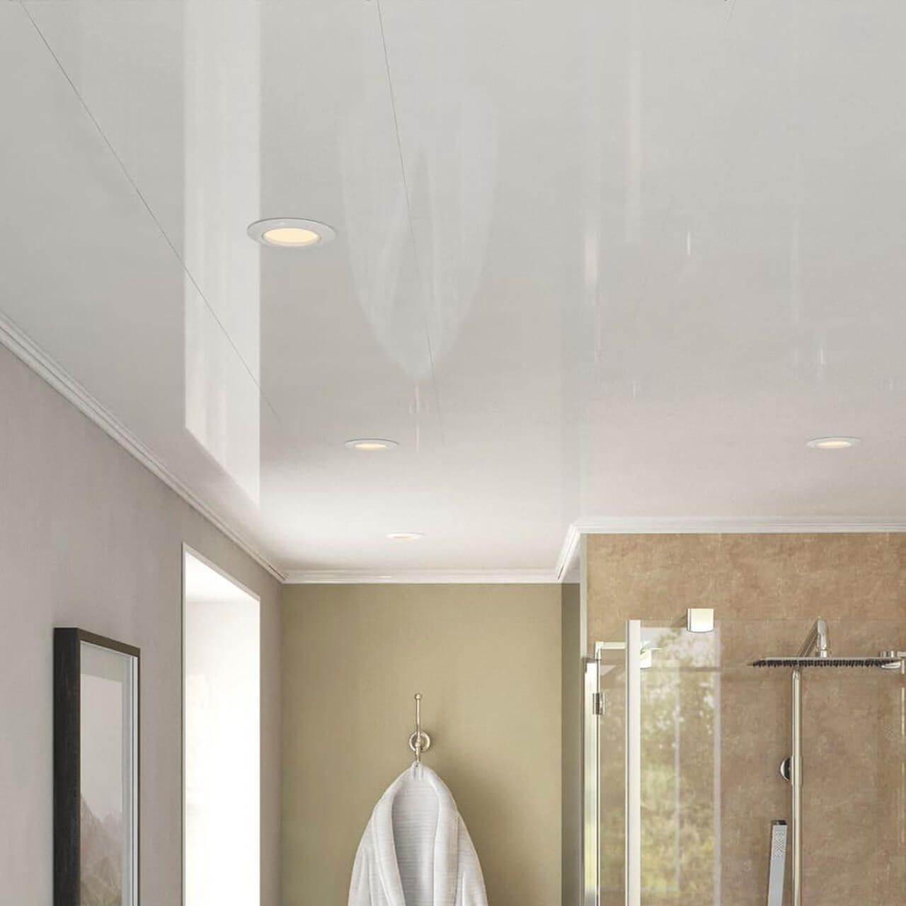 Techo Pvc 1
