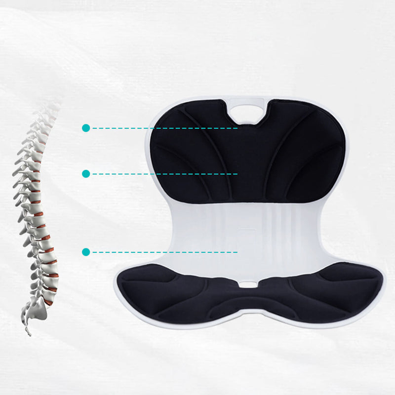 Corrector De Postura Para Silla