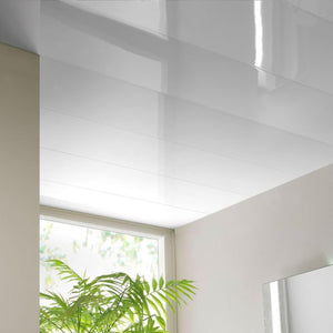 Techo Pvc 1
