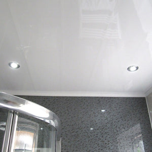 Techo Pvc 1
